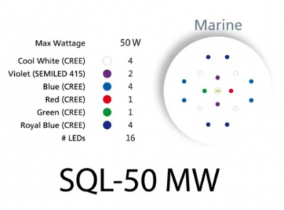 LED - SQL 50MW